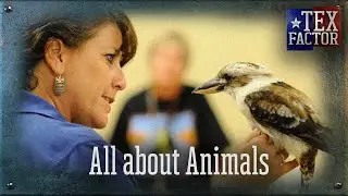 The Tex Factor: All About Animals