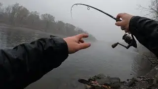 Hooked Into a Bucket List Fish on the Delaware River?