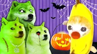 🎃 Banana Cat&rsquo;s Haunted Halloween Party with Evil Doges 👻💚🐱 Banana Cat Compilation | Cat MEME 😿