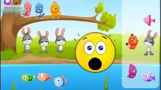 Kids Learn to Sort Shapes, Colors, Size, Household area & more Learning Children Games