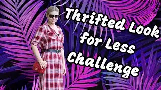 Thrifted Look for Less Challenge (January 2024)