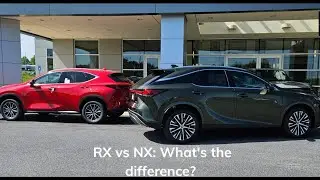 Lexus RX vs NX: Which Luxury SUV is Right for You? | Lexus of Macon GA