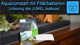 Aquariumstart mit Filterbakterien - JUWEL bioBoost - Filterbeschleuniger - Unboxing Filterstarter