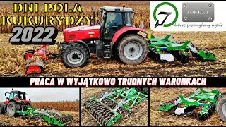 PRACA W BARDZO TRUDNYCH WARUNKACH - pole po kukurydzy na ziarno - Tenes 300,  Delta 300, Wał nożowy