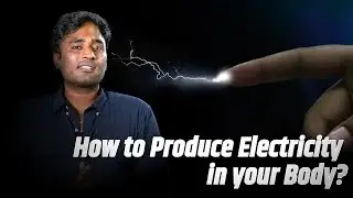 How to produce electricity in your body ? | LMES