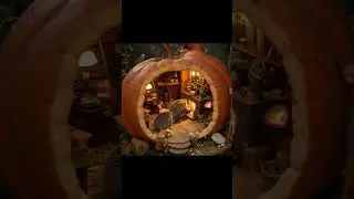 Autumn Whispers: Hedgehogs&rsquo; Dinner in the Pumpkin House #hedgehog  #cuteanimals  #shorts