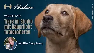 German Webinar: Tiere im Studio mit Dauerlicht fotografieren