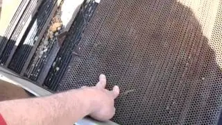 Мат Gold Hog Bedrock &mdash; первые тестовые запуски