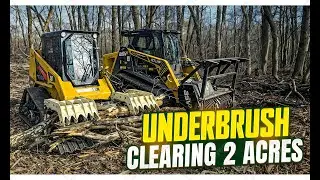 Mulching underbrush & Stacking Logs!
