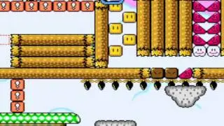 Asshole Mario 3 Stage 9