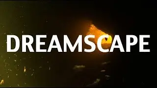 Dreamscape - Florida Cave Dive - Oct 2017