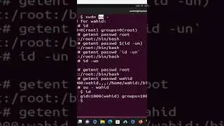 The &lsquo;sudo&rsquo; command stands for switch user do