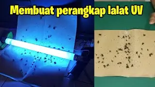 Making a fly trap with a UV lamp. Cheap and effective.