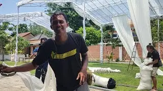 PROSES CEPAT BONGKAR TEROP SEGITIGA 10x28 MODEL TENDA TRANSPARAN - Terop balap group