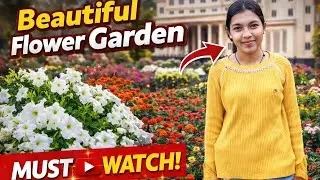 छत्तीसगढ़ popular flower show आपने ये देखा क्या ? || Flower show || Gandhi udhyaan park raipur || cg 