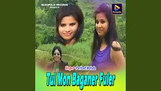 Tui Mon Baganer Fuler