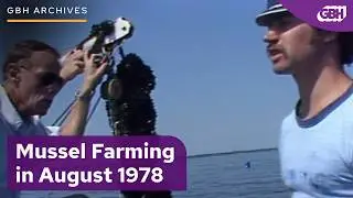 A Day in the Life of a &lsquo;70s Mussel Fisherman | GBH Archives