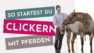Why clicker training is more than just food!