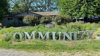 24 Years of Sowing, Growing and Cultivating Community: The Soil Born Farm Story.