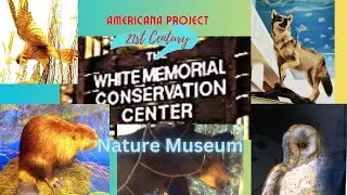 Visit the Nature Museum at White Memorial Foundation in Litchfield, Connecticut