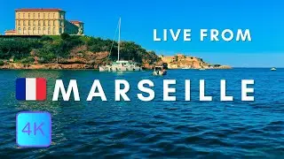 Marseille Vieux Port in Real Time | Ships, Seagulls & Harbour Voices | 4K Ambient Video