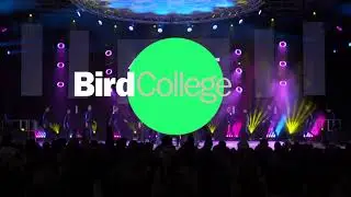 Bird College - Move It 2022 | Matt Nicholson