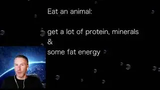 Dr. Ted Naiman:  Protein satiety drives overeating-The P-E Diet Book, part 2