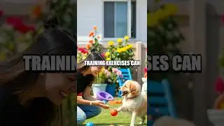 Mindful Home: Enhancing Pet and Owner Wellness Together