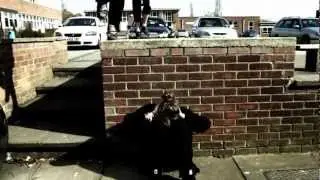Westbourne Music Video