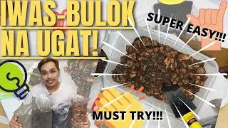 PINAKA MAGANDANG POTTING MEDIUM (SOILLESS MIX) PARA SA MALUSOG NA HALAMAN