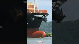 Gigante NAVIO CARGUEIRO impressiona turistas