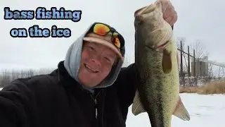 largemouth bass fishing on the ice. the backwaters of the Mississippi River.