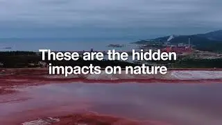 Tackling Construction&rsquo;s Impact on Nature