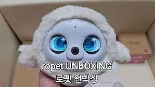ropet UNBOXING  로펫 언박싱 | AI 반려로봇 2025.08.28