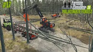Building a MEGA Warehouse for ALL Pallets! 🏗️📦 Palatinate Forest Logistics | FS25