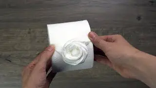🌹 How to Make an Easy Rose on a Toilet Paper Roll