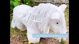 Vorstellung meines Craftyponies Zarah