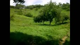 Mi Guaranda Banda 6 De Enero De Las Llanadas