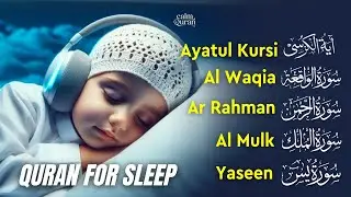 Soft & Pure Quran Recitation | Fatiha, Ayatul Kursi, Yasin, Mulk, Waqiah, Rahman | CalmQuran