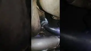 VID 20200916 224801