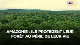 Amazonie : ils protègent leur forêt au péril de leur vie｜TF1 INFO