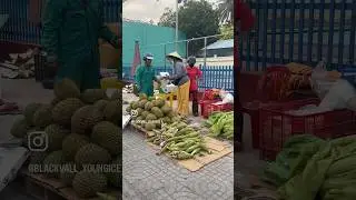 Everyone shows glossy, fake Vietnam. I&rsquo;ll show the real, living Vietnam.
