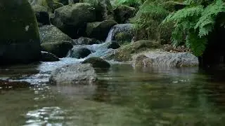 Relaxing Music, Water Sound, Piano Music, Deep Sleep.
