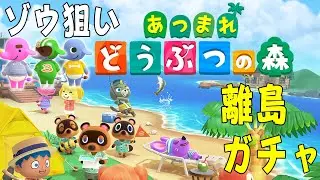 【住民厳選】ゾウの住人が欲しい！！！！！アプデが来たあつ森を全力で楽しむ！【あつまれどうぶつの森/あつ森】