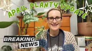 💚🌿✨ Root Rot and New Growth - April Plant Care Update 💚🌿✨