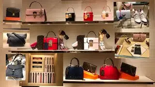 LOUIS VUITTON 2020 COLLECTION 3/3 |Tokyo Omotesando