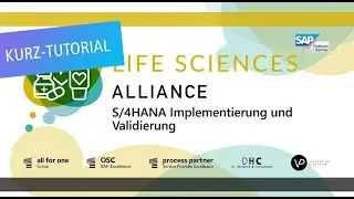 SAP S/4HANA IMPLEMENTIERUNG & VALIDIERUNG