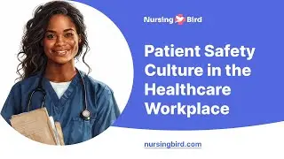 Patient Safety Culture in the Healthcare Workplace - Essay Example