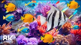 🌊 Aqua Serenity 8K (ULTRA HD) &ndash; Relaxing Ocean Waves for Deep Sleep & Meditation