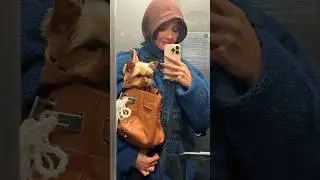 Валя Карнавал влог 4 часть #валякарнавал #карнавал
